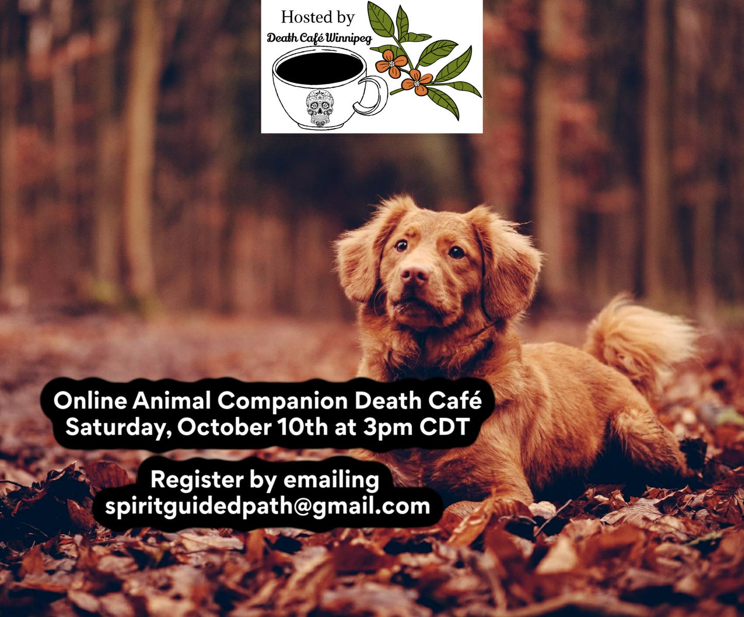 Animal Companion Online Death Cafe GMT-5