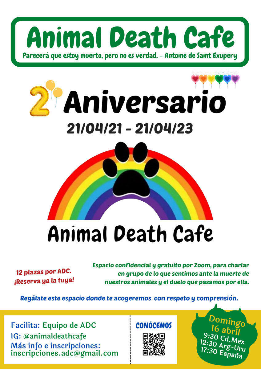 Ann Arbor Death Cafe Online EDT