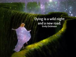 Dying is a wild night